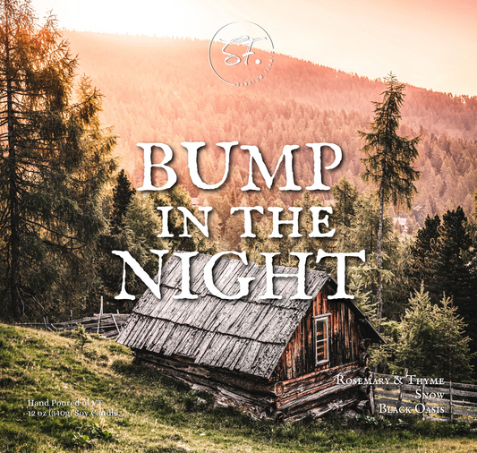 Bump in the Night