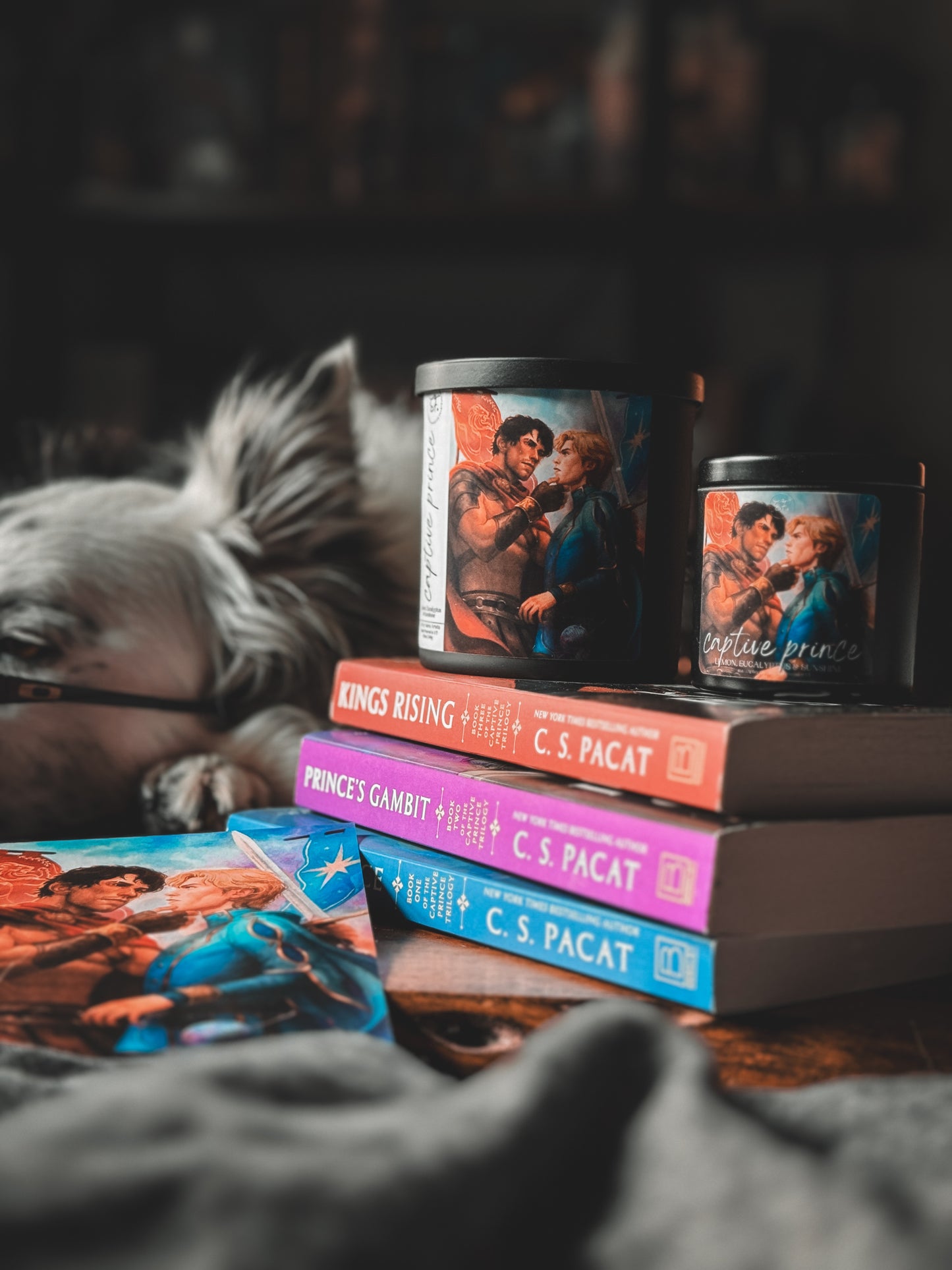 Captive Prince - Art Candle