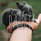 Little Rabbit