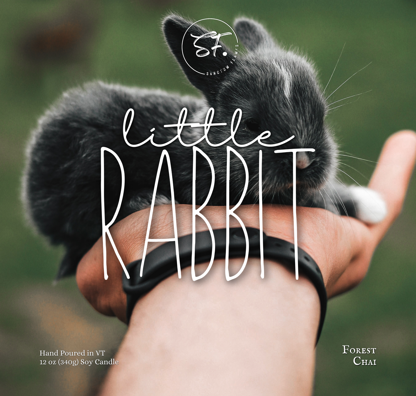 Little Rabbit