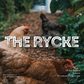 The Rycke